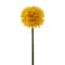 Yellow Billy Ball Stem by Ashland&#xAE;